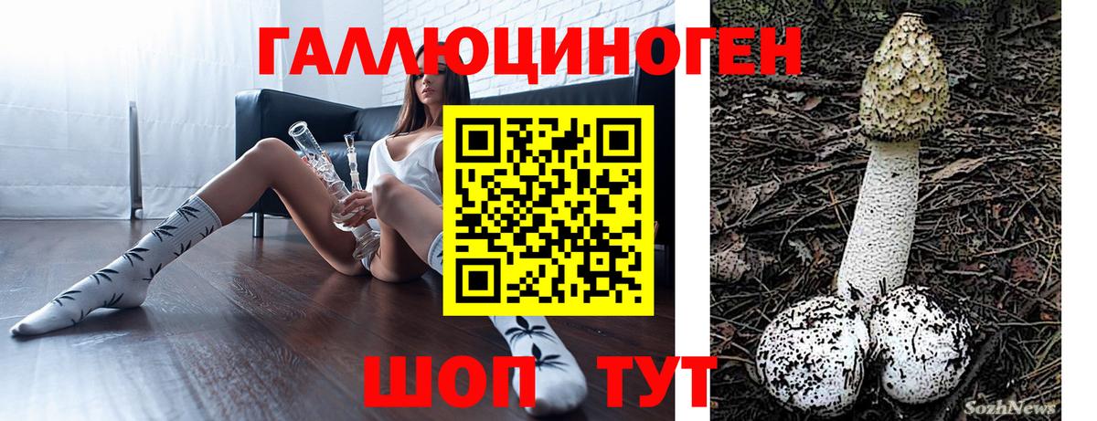 Галлюциногенные грибы Psilocybine cubensis Саратов