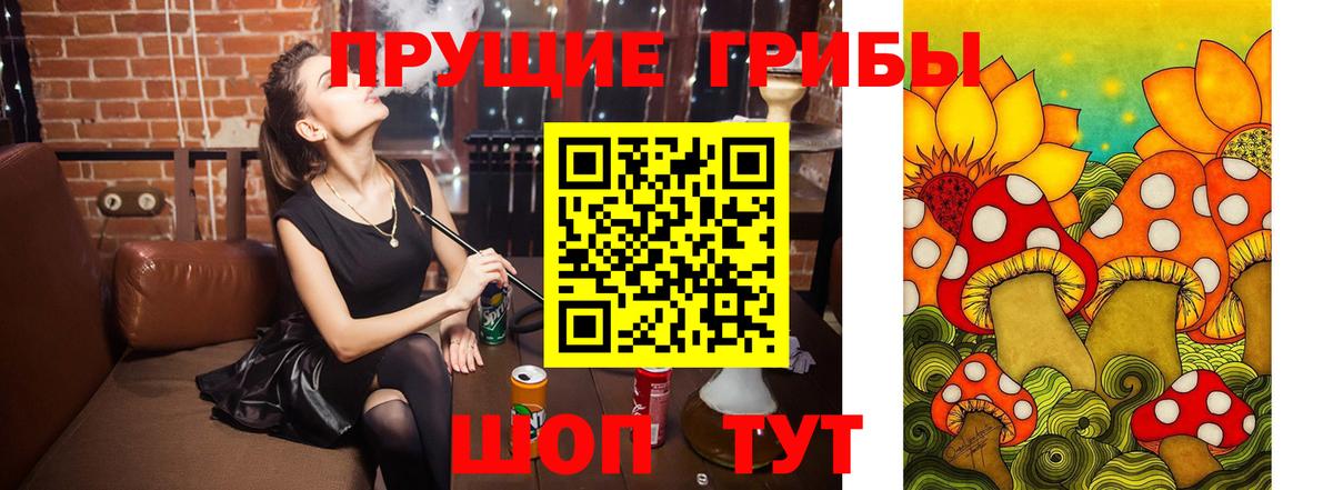 Саратов  наркотики  Вход с VPN  Галлюциногенные грибы прущие грибы 